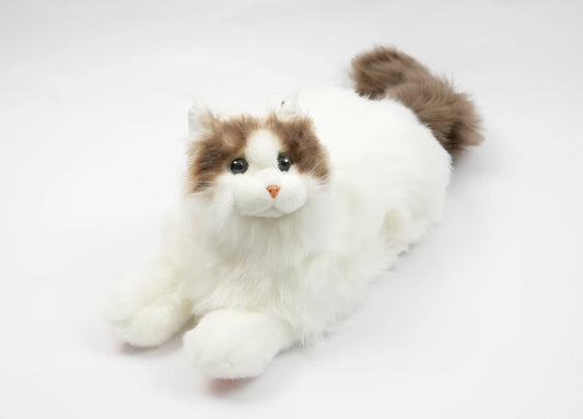 Robotkatt för äldreboende och demenssjuka