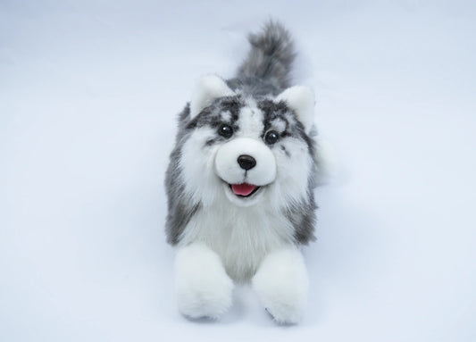 Robothund för äldre - digital terapihund Husky