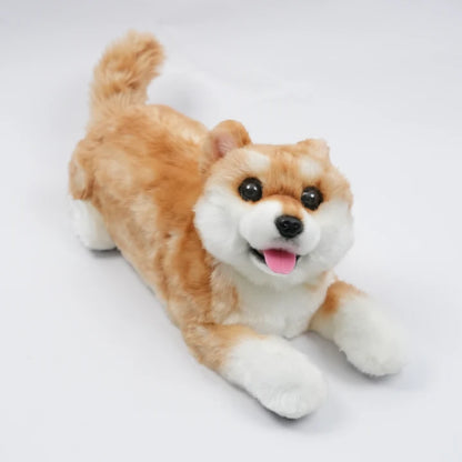 Terapihund Shiba - Digital terapihund