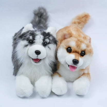 Terapihund Shiba - Digital terapihund