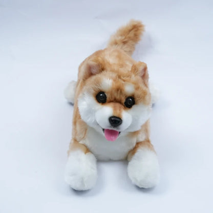 Terapihund Shiba - Digital terapihund